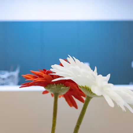 דירה Vale71house