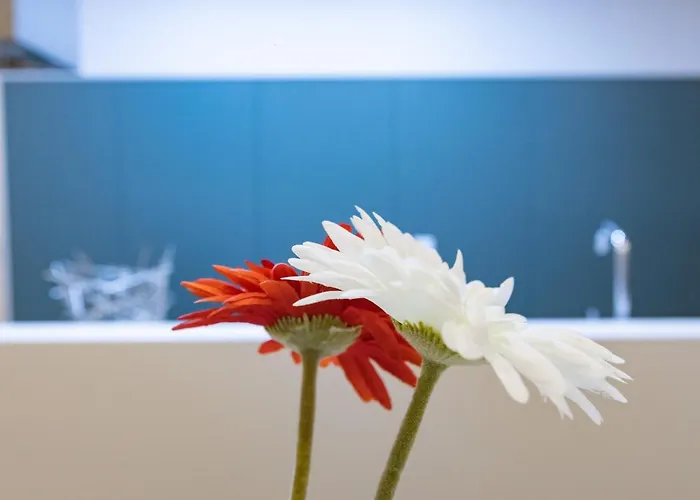 Lejlighed Vale71house