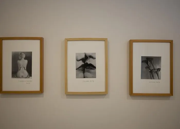 Vale71house דירה